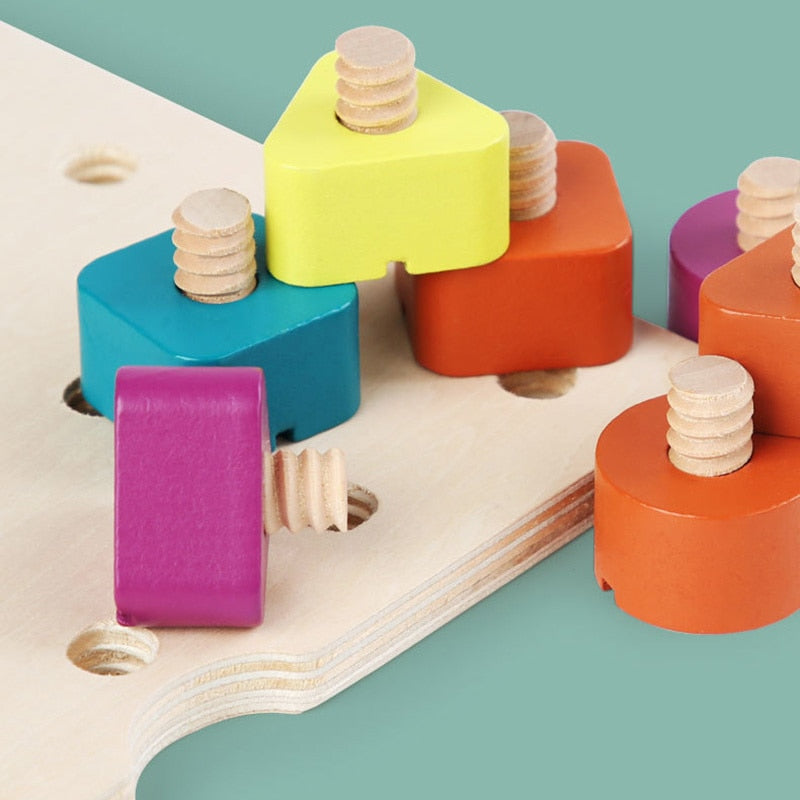 Montessori Motor Skills Pegs Boards